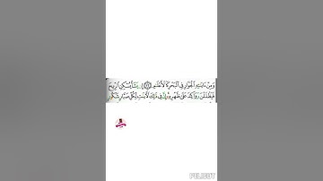 تجويد مبسط واستخراج أحكام آيه ٣٢ من سورة الشورى وجه ٤٨٧