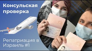 КОНСУЛЬСКАЯ ПРОВЕРКА | РЕПАТРИАЦИЯ 2023 | Израиль