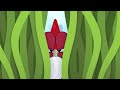 NEW The Adventures of Bernie | Bernie the Spy (S01E08) Zig &amp; Sharko - Cartoons for Kids