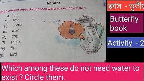 Class-3/Butterfly book/Activity  - 2/Which among these do not need water to exist? Circle them.