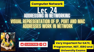 Lec 24: Addressing in Networking | How IP, MAC and Port addressing identified in network | visually