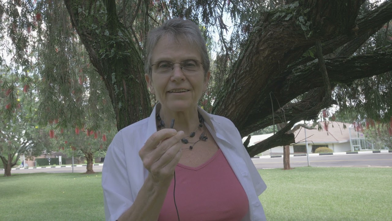 Susan MacMillan: A celebration