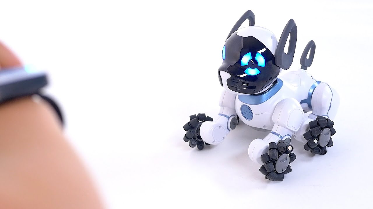 small robot dog toy