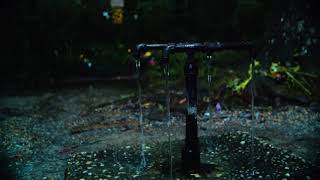 God's Acre's Healing Spring (Blackville, SC) - Lightning Bugs at Dusk