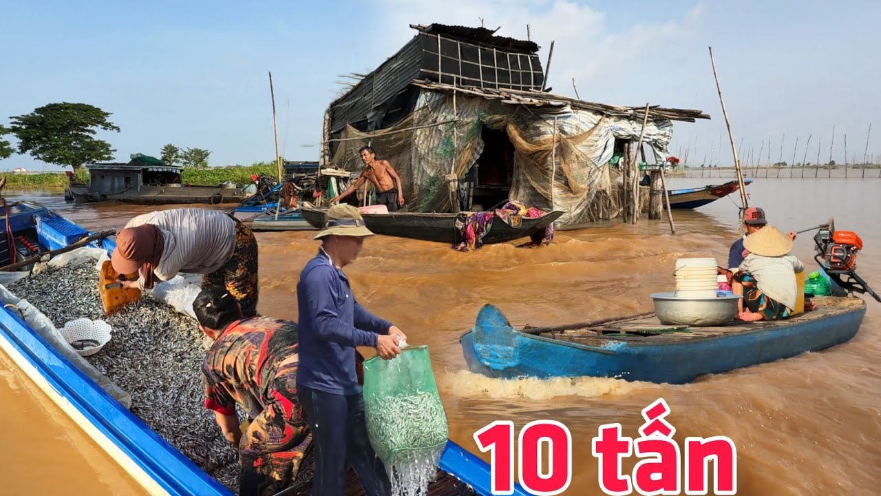 Lũ lên thần tốc Campuchia sạt đáy người dân đổ dớn trúng 10 tấn cá linh