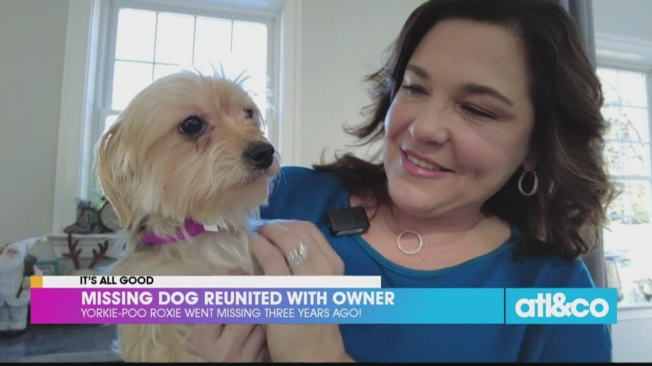 Dog Reunited with Owner 3 Years Later - YouTube