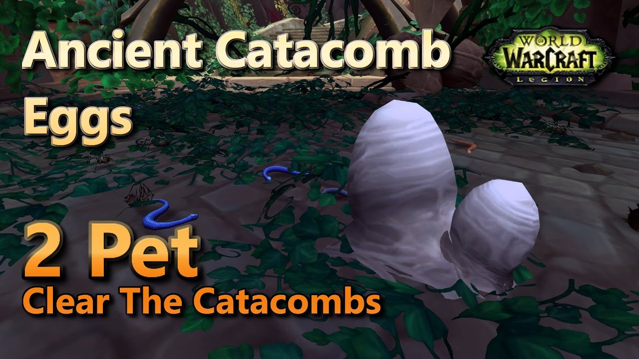 Ancient Eggs Pet Battle World Quest Clear The Defeat