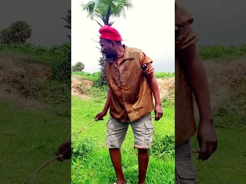YA KAMA MACIJI Viral Viralvideo Video Viralshorts Viralshort Vlog Viralvideos Vtuber Funny
