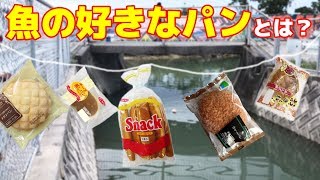 色んなパンを全部連結させて釣りしてみると、、、？