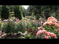 DESTINATION OREGON: Washington Park Mp3 Song