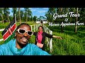 BREAKING NEWS !!! Grand Tour of Marwa Appaloosa Horse Farm 🐎🌿 | @iammarwa @DeeMwango