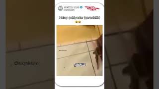 Balıklar Halay Çekiyor Çaresizlik