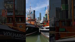 #rotterdam #nederlands #holland #travel #travelguide #rotterdamcity #traveling #traveltips #trip #4k