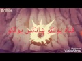 شيلات لوفي 1 