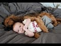 Most Adorable Dogs and Babies Living Together