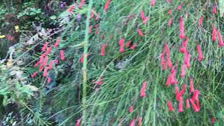 男鈴山・女鈴山 2020-12-05 土