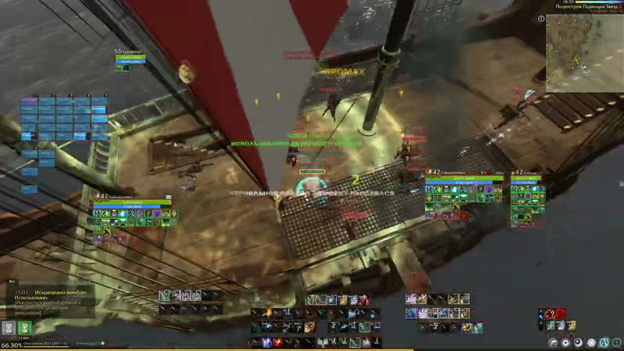 совокупление морских кисок [ набор в гоп кп ]