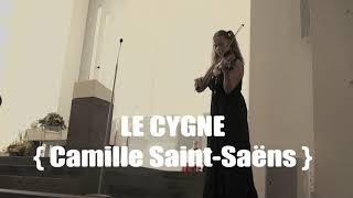 The Lonely Shepherd - Cinema Paradiso - Le Cygne [Violin Cover Medley ]