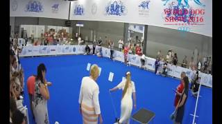 cam25 0625
