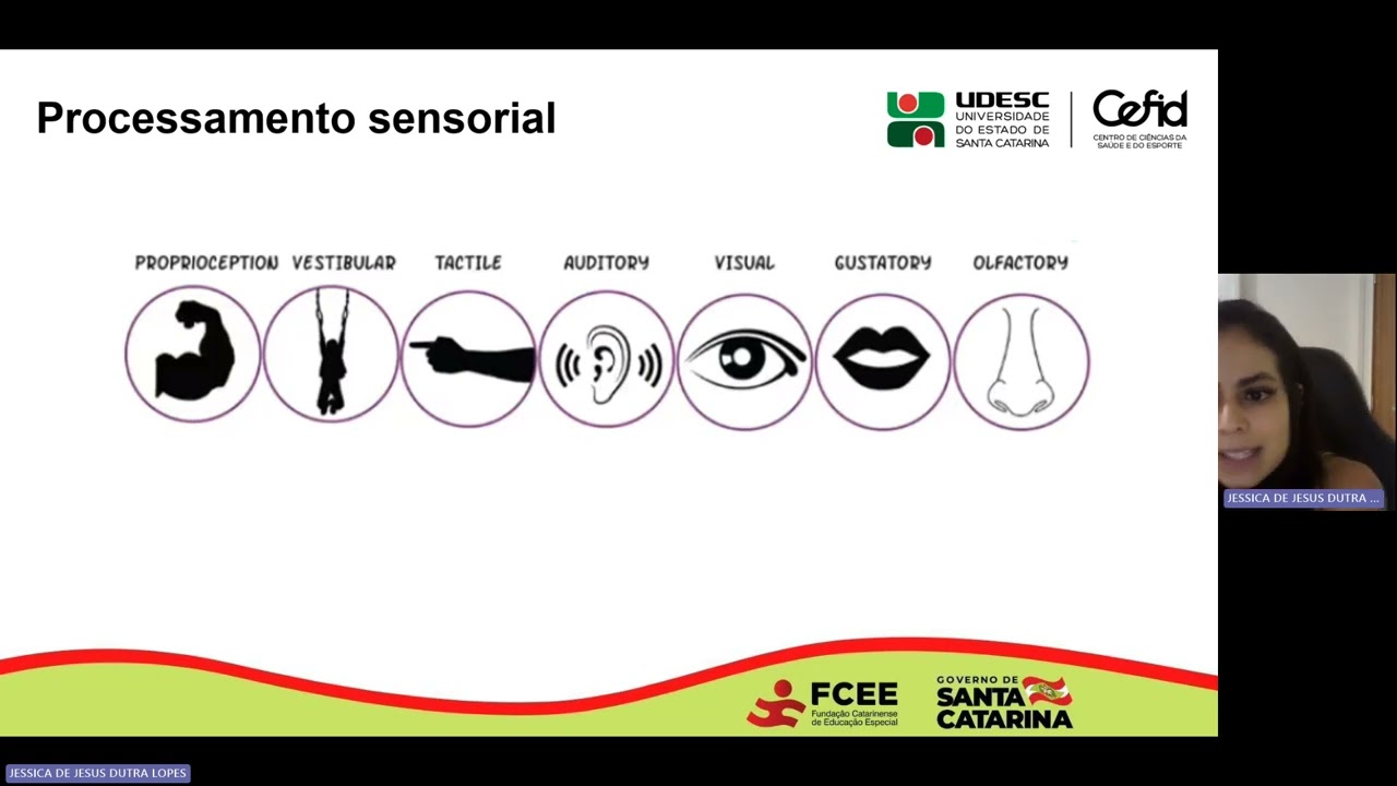Instrumentos Padronizados de Avaliação Infantil - Perfil Sensorial 2
