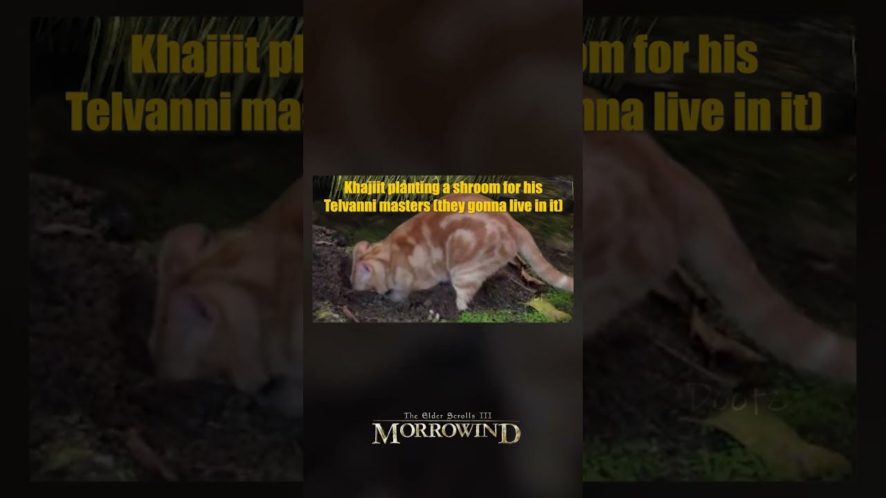 Morrowind - Relatable and Funny pt11