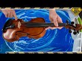 Will a violin survive hydrodipping