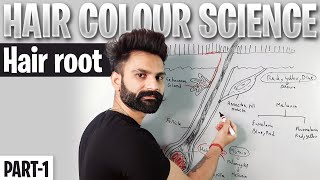 Hair Color Science | PART1 | Hair Color Theory In Hindi | Hair Root | Melanin| Pigments