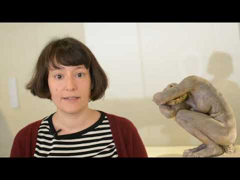 Video: Billedhugger Camille Claudel: Biografi, Kreativitet