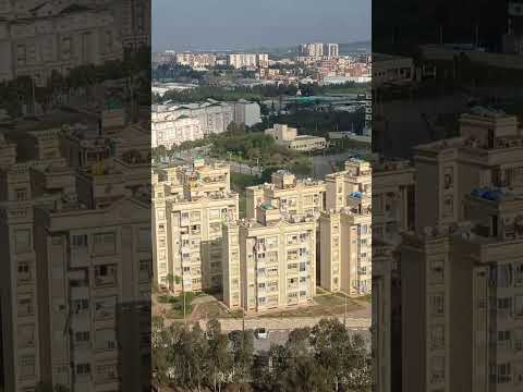 ولاد فايت العاصمة