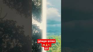     nature travel viral srilanka trending temlpe shorts