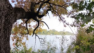 Краснодар... Солнечный остров... 08.10.25 г.