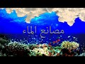مصانع المياه العملاقة عبدالحميد كشك