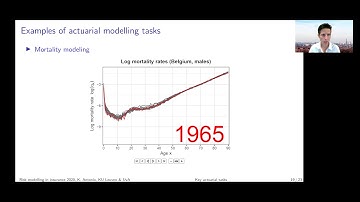 Examples of actuarial modelling tasks