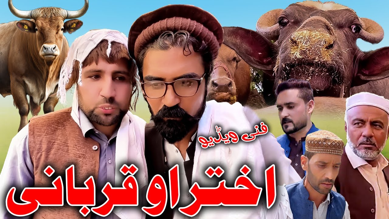 Akhtar Ou Qurbani New Pashto Comedy Video By Daji Gul Vines