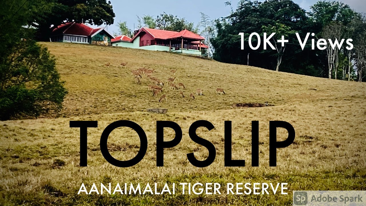 topslip tourism booking