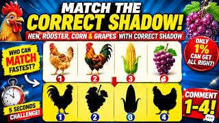 Download lagu MATCH THE CORRECT SHADOW! 🐔🌽🍇 | Shadow Matching Puzzle LIVE