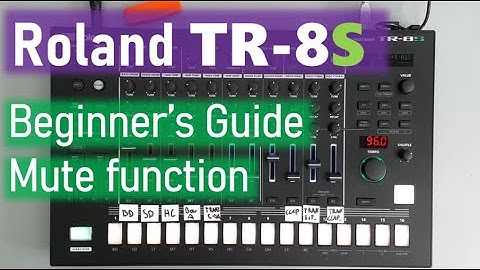 Roland TR-8S Beginner