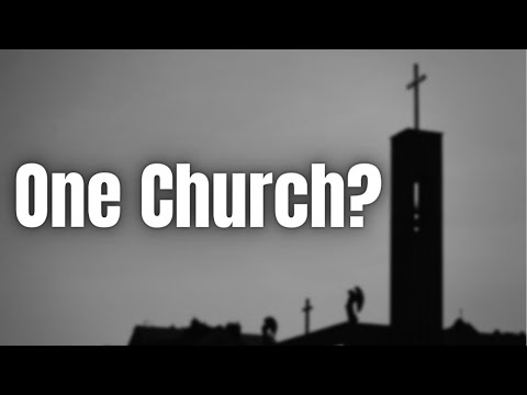 Is the Church Christ Established supposed to be One?