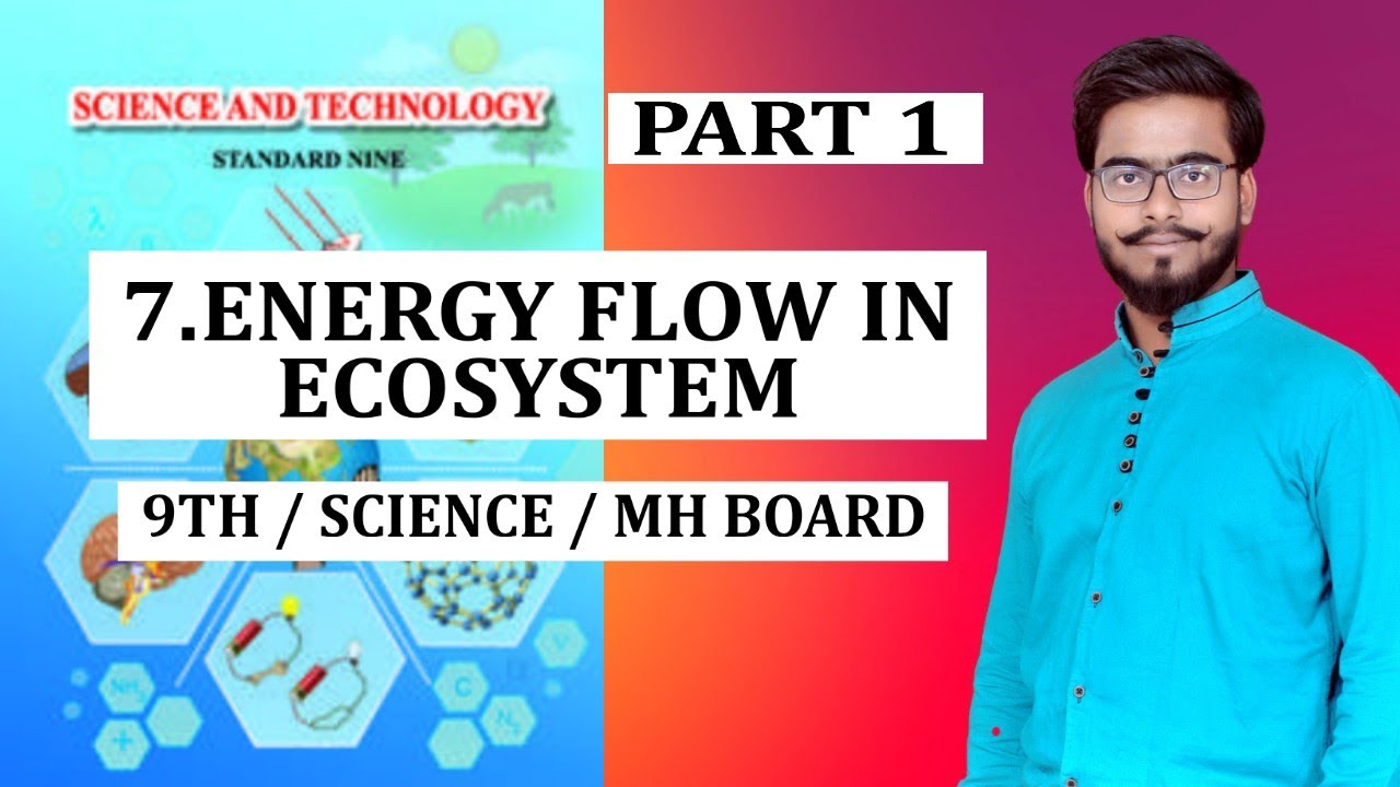 ENERGY FLOW IN ECOSYSTEM / PART 1/ SCIENCE / CHAPTER 7 / 9 TH SSC / STATE BOARD MAHARASHTRA