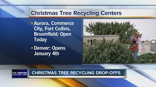 Christmas tree recycling drop-offs