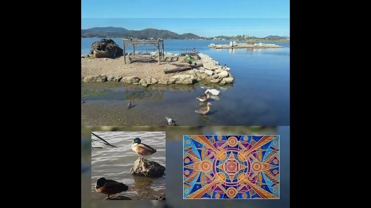 Птичий остров #birds #island #enjoybeauty #naturalbeautiful #sea #birdphotography #natureobserver 