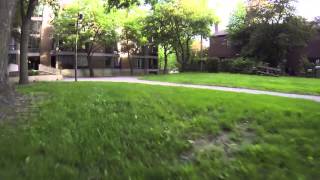 FPV Slalom between trees in the Backyard