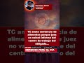 🚨 TC anula sentencia de alimentos por error judicial
