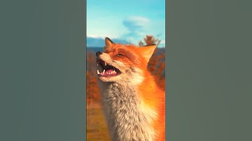 Thumbnail of Red Fox Sounds asmr 🦊