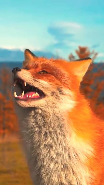 Red Fox Sounds asmr 🦊