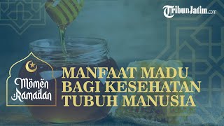 Banyak Bermanfaat Bagi Kesehatan Tubuh, Ini Manfaat Konsumsi Madu Saat Berbuka Puasa dan Sahur