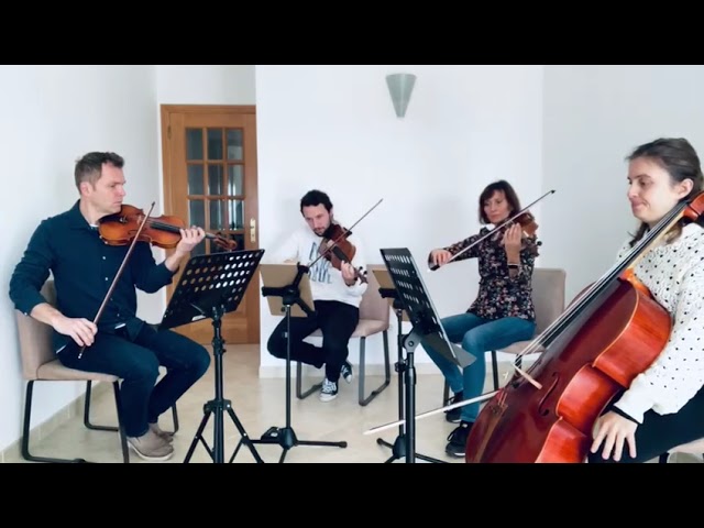 Maestro (the Holiday) & String Quartet