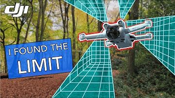 DJI Mini 3 Pro in the FOREST: Obstacle Avoidance to the MAX