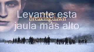 Download Lagu Amanecer 2    A Boy and His Kite - Cover Your Tracks MP3