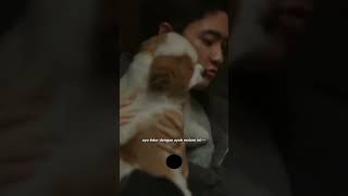 Bad Prosecutor Lucunya Do Kyungsoo Ketemu Anjingnya